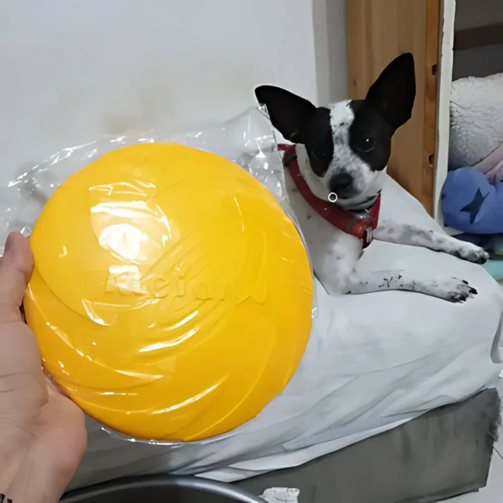 Frisbee - FlyDog™ - Jaune - Planète des chiens