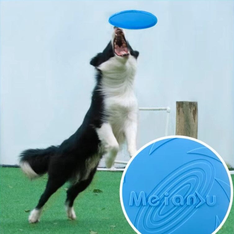 Frisbee - FlyDog™ - Bleu - Planète des chiens