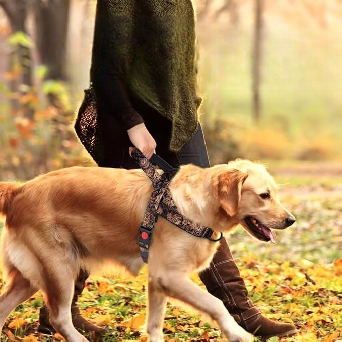 Harnais pour chien - DogSafeHarness™ - Noir Doré - Planète des chiens