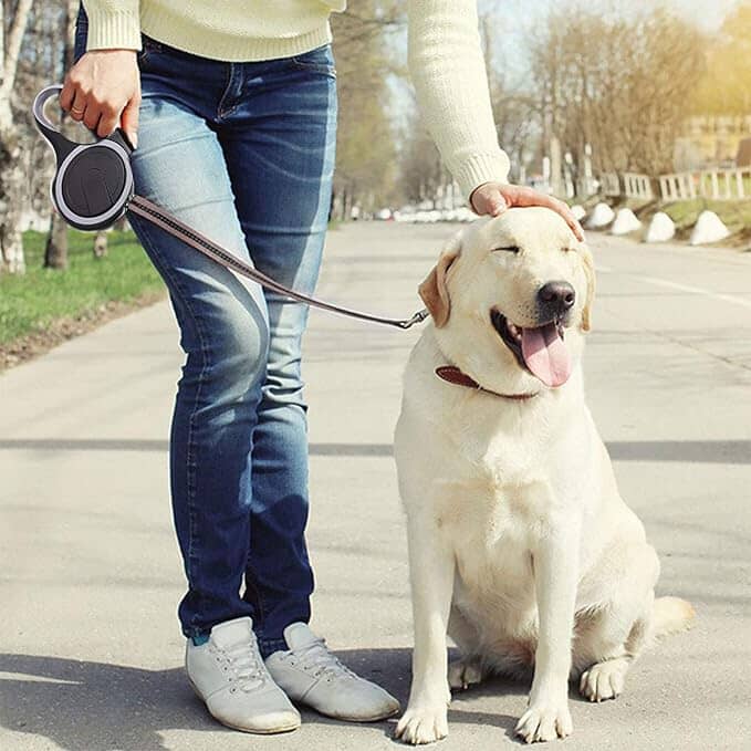 Laisse de chien - MaxLeash™ - Noir - Planète des chiens